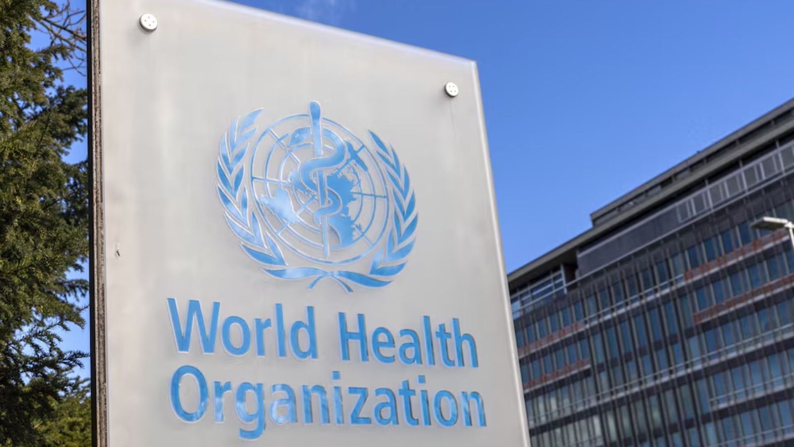 WHO warns that cholera outbreak could flare up again in Haiti | World ...