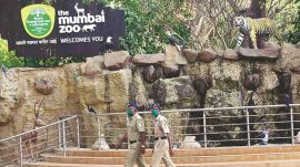 mumbai zoo