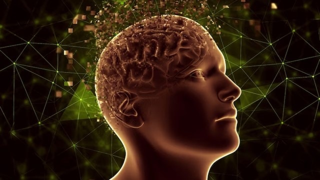 nervous system dysregulation, brain health