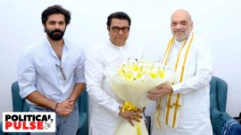 Raj Thackeray meets Amit Shah