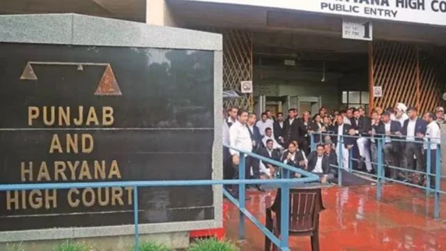 Punjab And Haryana Hc Dismisses Bail Plea Of Ndps Case Accused Says ‘drug Dealers Lead To 9584