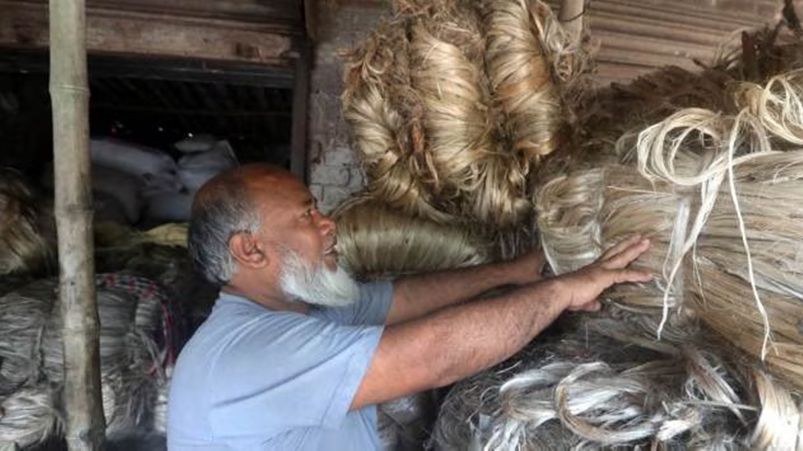 Govt raises MSP for raw jute by Rs 285 to Rs 5,335 per quintal for FY25