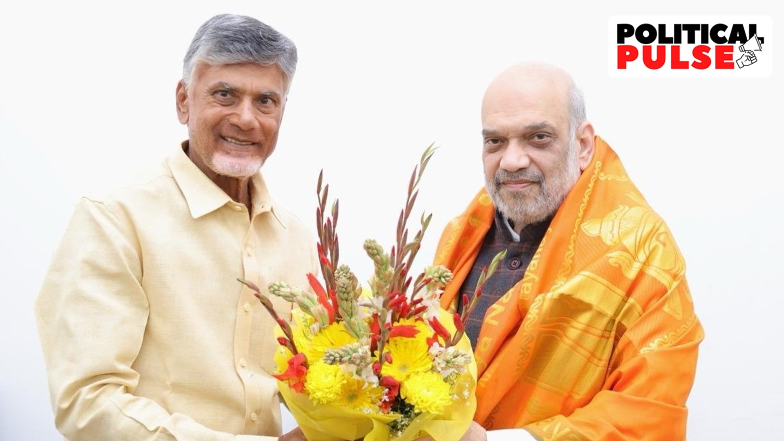 TDP, BJP Announce Tie-up ‘under Modi Leadership’; Seat Wrinkles Ironed ...