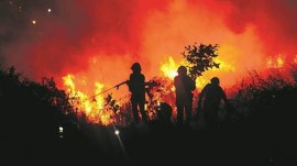 south India wildfire