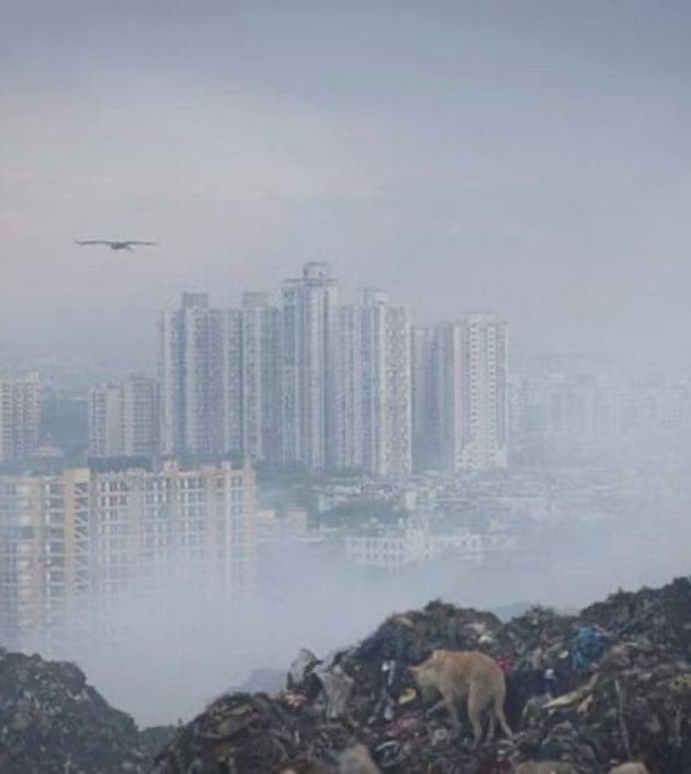 Ghazipur Landfill Fire: Immediate Health Risks and Long- term implications