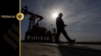 Over the past few years, the government has also intensified efforts to raise domestic crude oil output by making exploration and production contracts more lucrative and opening vast acreages for oil and gas exploration (Reuters/fuile)