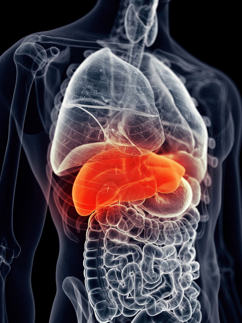 Expert tips for a healthy liver