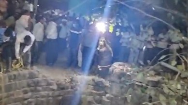 Ahmednagar cat well rescue dead