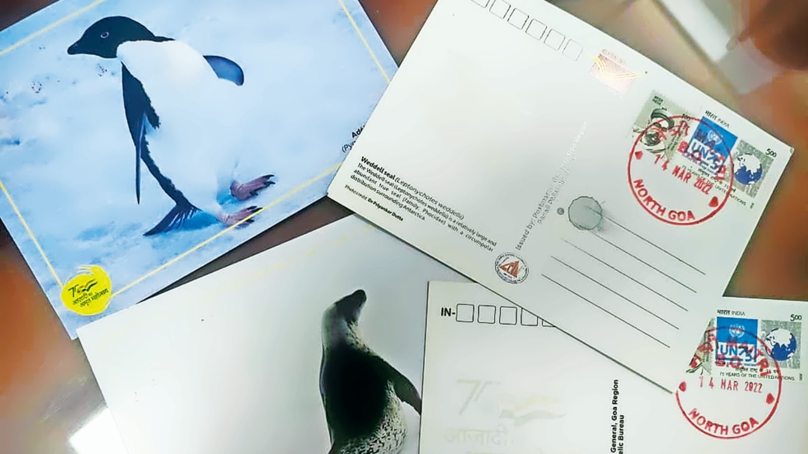 Panaji, Antarctica, Dakshin Gangotri, Maitri North Goa, Antarctica post office Indian address, Indian express news, current affairs