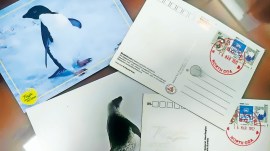 Panaji, Antarctica, Dakshin Gangotri, Maitri North Goa, Antarctica post office Indian address, Indian express news, current affairs