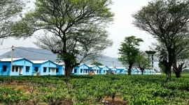 Lok Sabha Elections 2024, bengal voters, bengal voting, Kolkata news, WEst Bengal news, India news, Indian express, Indian express India news, Indian express India