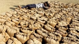 agricultural imports from Ukraine, Ukraine, Hungary, Ukraine-Hungary relations, European Union, duty free imports,