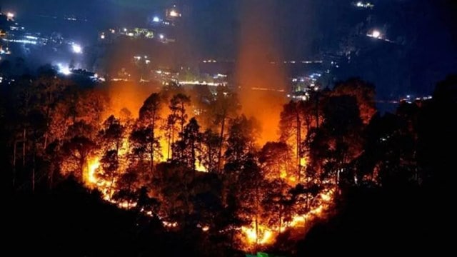 Forest fire reaches Nainital’s High Court Colony; Army called in ...