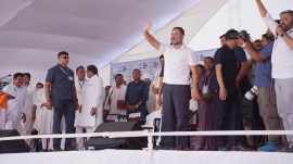 congress, rahul gandhi