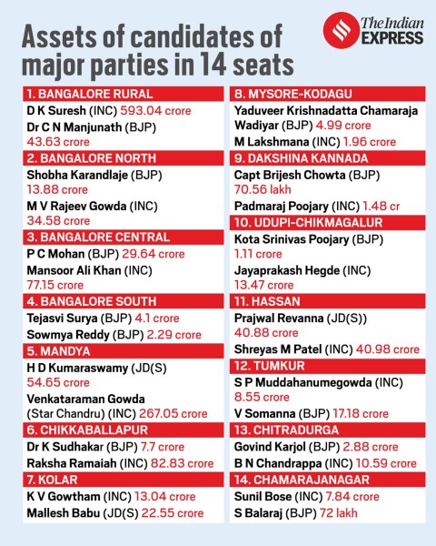 Karnataka Lok Sabha elections 