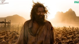 Prithviraj is currently seen in Aadujeevitham.