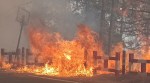 Nainital Forest Fire