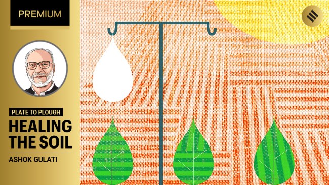 healing the soil
