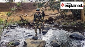 29 Maoist killed in encounter in Chhattisgarh