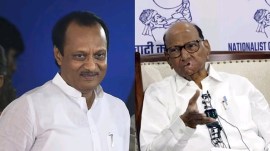 Sharad Pawar, Ajit Pawar, Narendra Modi, Rahul Gandhi,