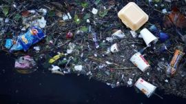 World's mismanaged plastic waste India ranking