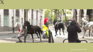 Two horses on lose in central London