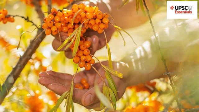 UPSC Daily subject-wise quiz : Environment, Geography, Sci-Tech (Week 54)