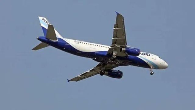 Indigo,