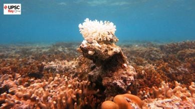 UPSC Key : 22nd April, 2024 — Coral bleaching, Indelible ink, Health insurance for seniors and more