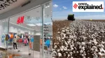 An H&M store and cotton in Brazil.