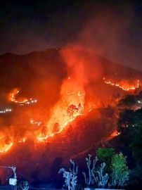 Uttarakhand Forest Fires: Man-Made Crisis Sparks Response as IAF Helicopters Aid Firefighters