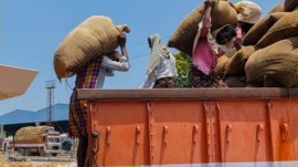 agriculture news, agricultural export slips, India’s agricultural exports, Red Sea crisis, Russia-Ukraine war, global export markets, election year, Lok Sabha elections 2024, bananas, mangoes, potatoes, baby corn, indian express news