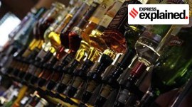 alcohol bottles/representational/.