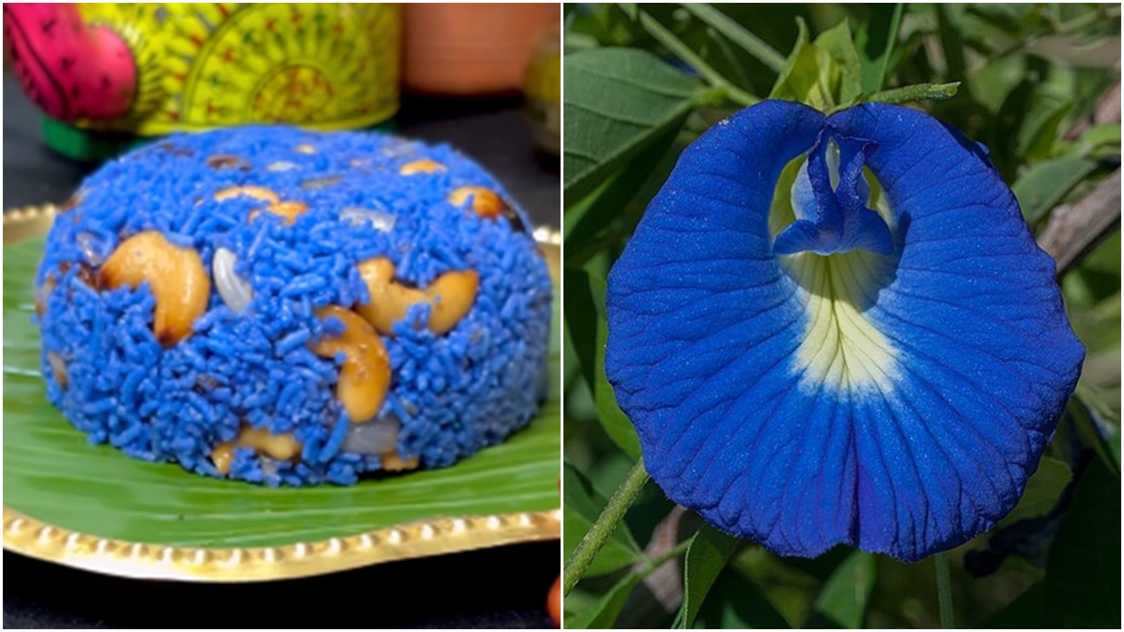 Have you ever tried blue rice?