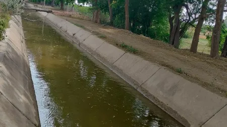 Punjab brackish water canals
