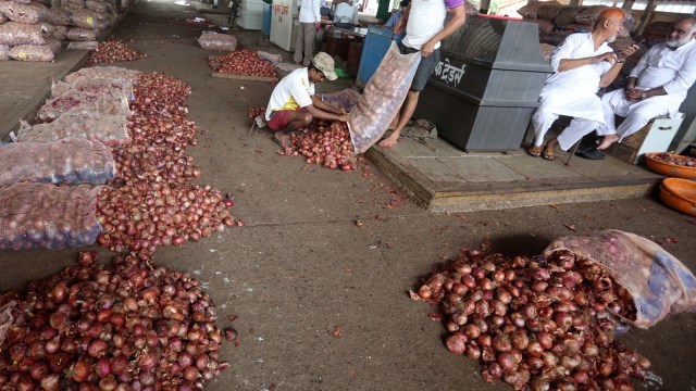 maharashtra onion