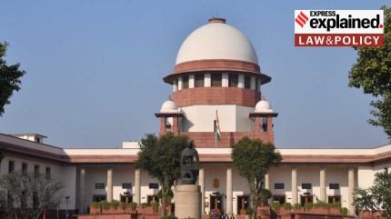 SC allows abortion of 30-week foetus: What is the law on abortion?