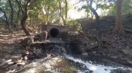 N-Choe, stretching 13.04 km and originating from the north of Chandigarh, passes through various sectors before reaching its end. (File Photo)