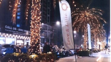 Bombay High Court, Brihanmumbai Municipal Corporation BMC, BMC, remove decorative lights from trees