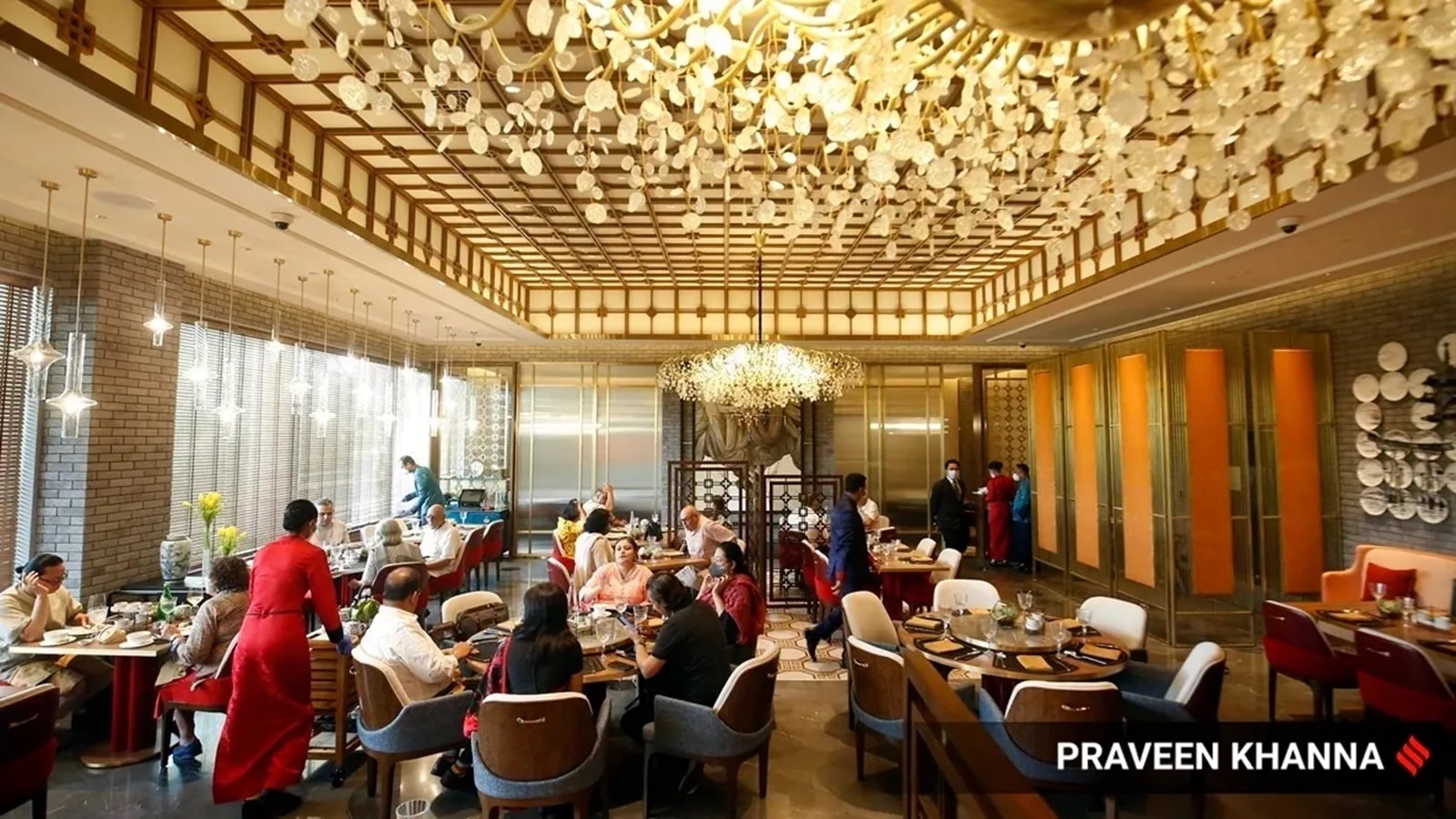 What kind of diner are you? 6 types of diners who avoid plant-based meat dishes