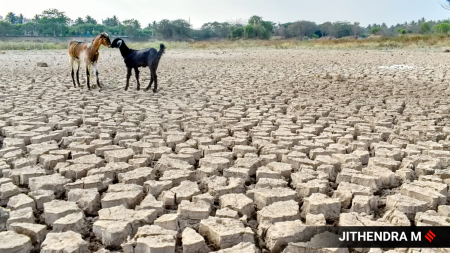 Congress state president for Karnataka, D K Shivakumar, pointed out that 224 out of 236 taluks in the state are reeling under drought. (Express Photo by Jithendra M)