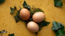 Should you (or not) have eggs this summer?