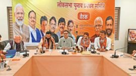 haryana lok sabha polls