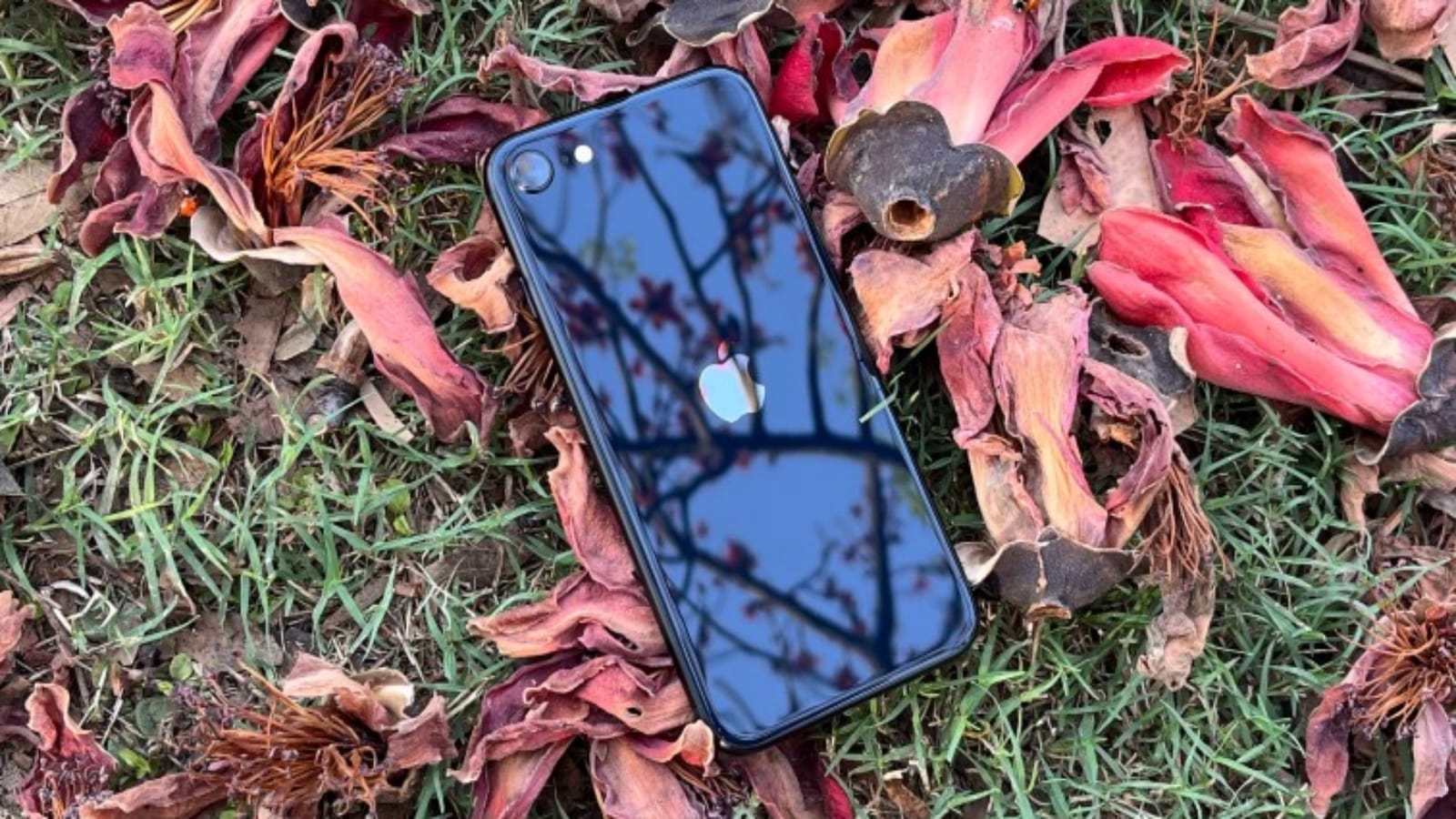 iPhone SE 4 | iPhone SE 2025 | Apple iPhone SE