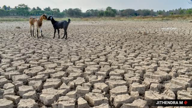 Why Supreme Court ruling on climate change isn’t enough | The Indian ...