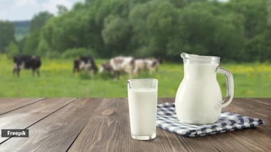 milk, lactose intolerance