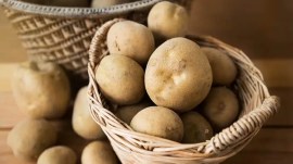 Peru-based top potato research centre to set up India wing