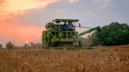 punjab weather, indian express