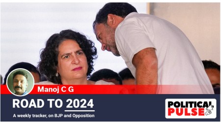 rahul gandhi, priyanka gandhi