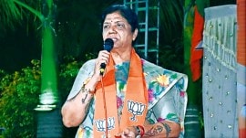 Ranjan Bhatt, BJP Constituency, Vadodara, BJP, Bharatiya Janata Party (BJP), Ahmedabad news, Gujarat news, India news, Indian express, Indian express India news, Indian express India